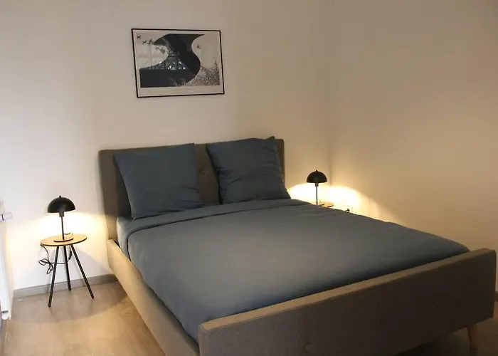 L'escapade, Entierement Renove, Proche Centre * グルノーブル